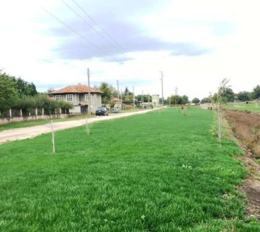 Градините на Про Сървис България 27 - Снимки
