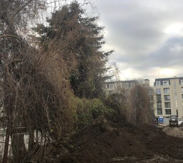 Градините на Про Сървис България 16 - Снимки