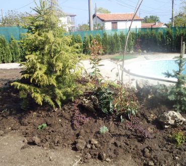 Градините на Про Сървис България 39 - Снимки