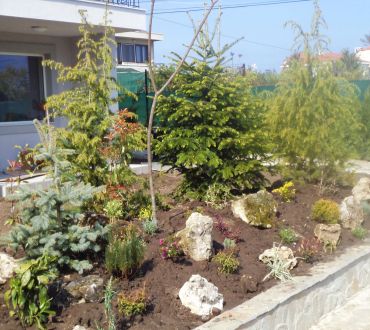 Градините на Про Сървис България 39 - Снимки