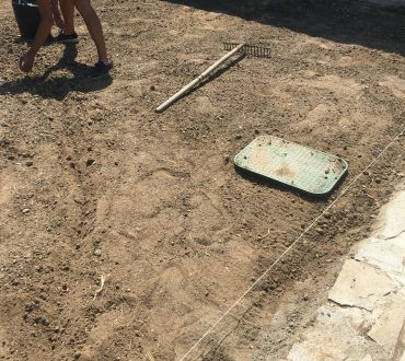 Градините на Про Сървис България 38 - Снимки